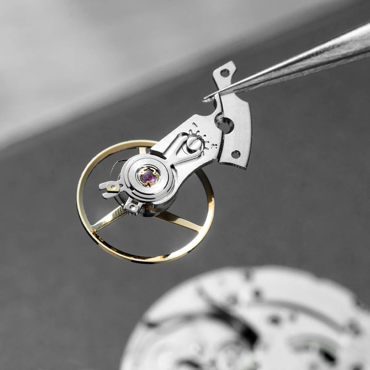 sellita sw200 montato su nereide tungsteno 42